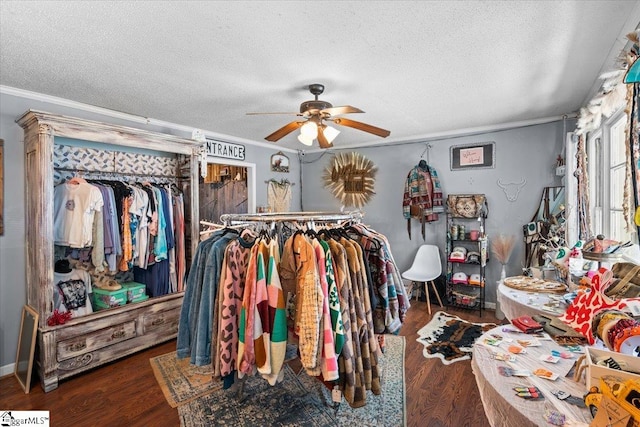 spacious closet featuring ceiling fan and dark wood-type flooring