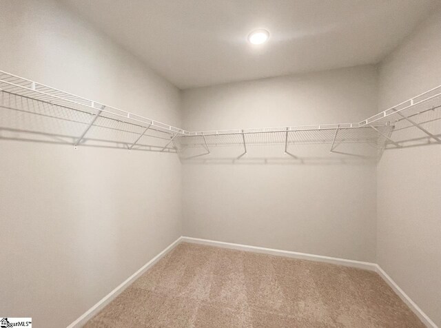 walk in closet with light carpet