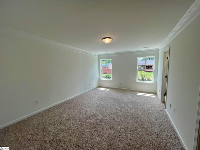 empty room with carpet and ornamental molding