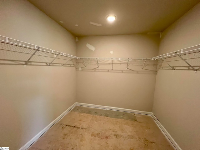 view of walk in closet