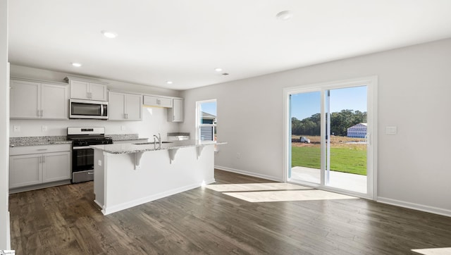 kitchen featuring light stone countertops, stainless steel appliances, plenty of natural light, a breakfast bar area, and an island with sink