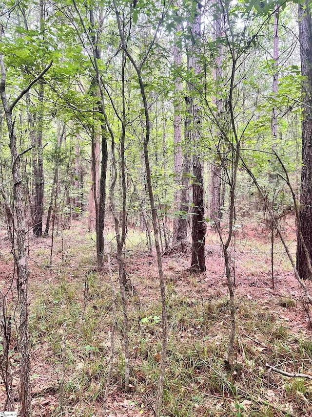 Listing photo 2 for 0 Gold Mine Rd, Edgefield SC 29824