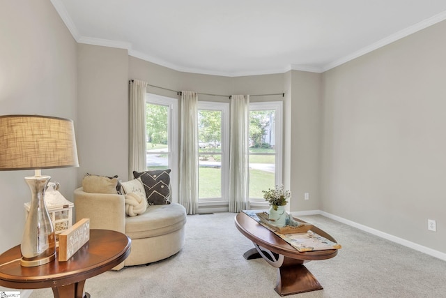 sitting room with a healthy amount of sunlight, carpet, and ornamental molding