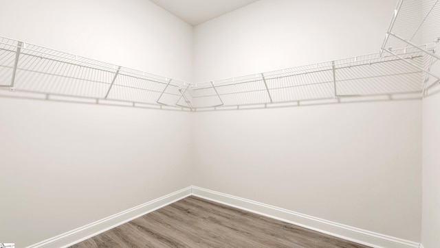 spacious closet featuring hardwood / wood-style floors