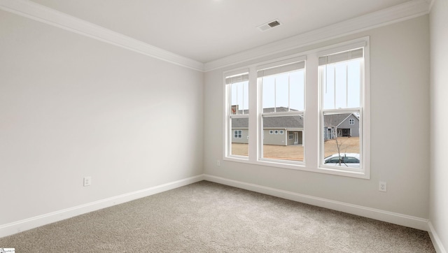 spare room with crown molding and carpet floors