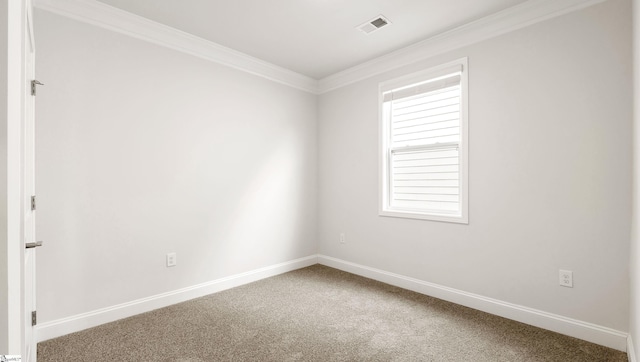 spare room with crown molding and carpet flooring