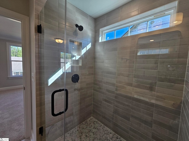 bathroom with an enclosed shower