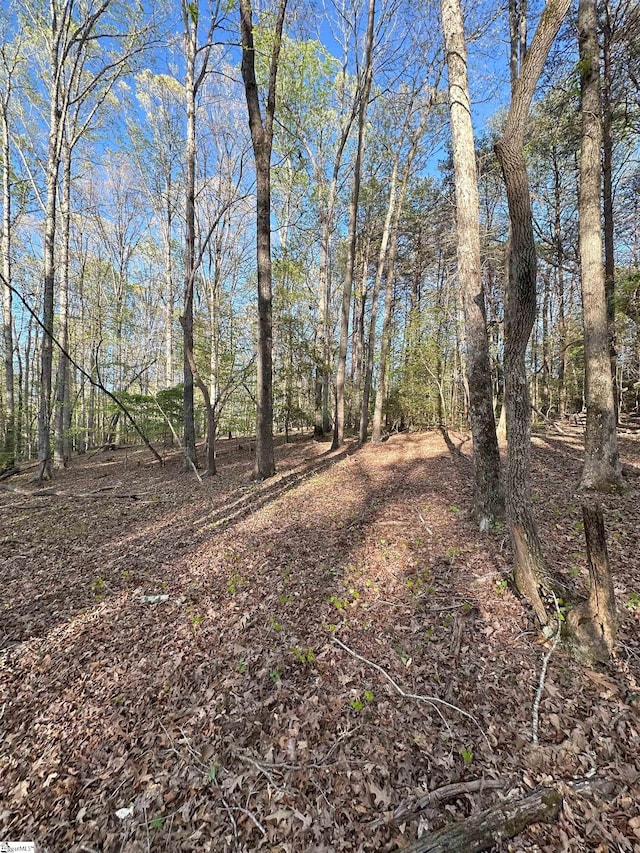 Listing photo 3 for NPA Thompson Road, Greer SC 29651