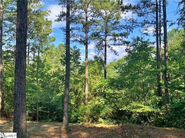 113 Stone Cove Rd, Sunset SC, 29685 land for sale