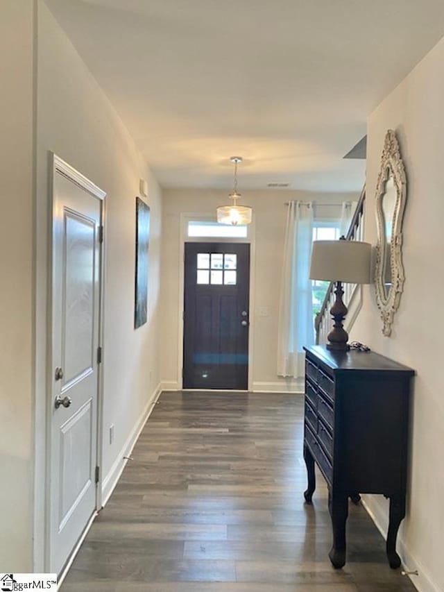 entryway featuring dark wood-type flooring