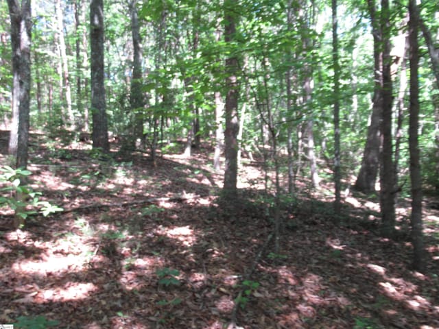 221 River Bluff Rd, Cleveland SC, 29635 land for sale