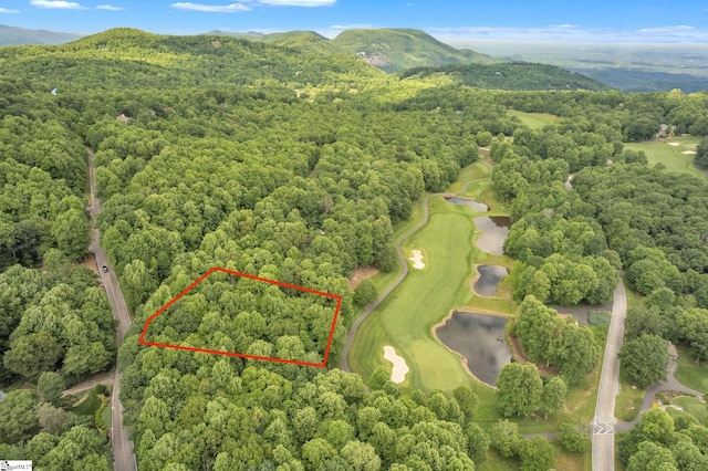 Listing photo 2 for Snap Dragon Way Lot 30, Landrum SC 29356