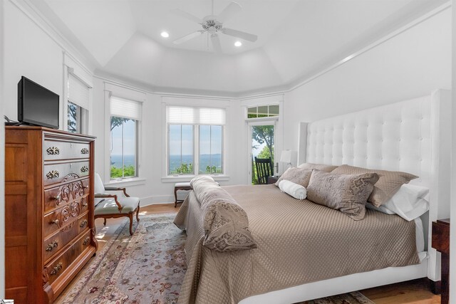 bedroom with ceiling fan, a raised ceiling, access to exterior, and wood-type flooring