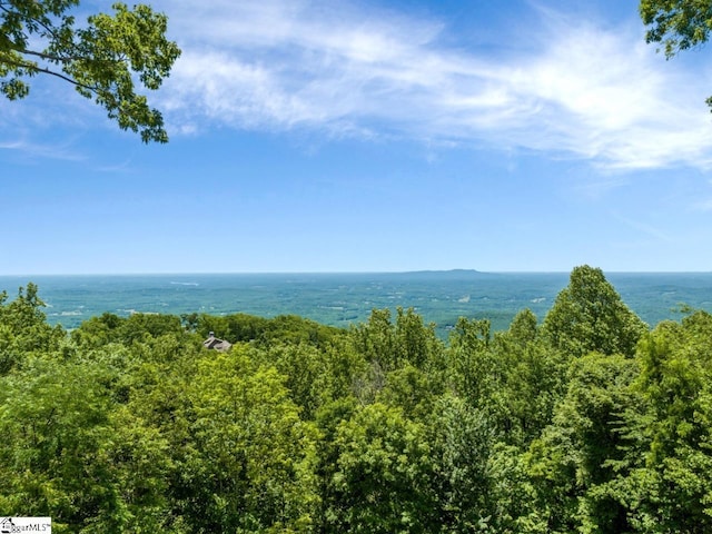 7 Drift Away Ln, Landrum, SC 29356 - water view featuring a forest view