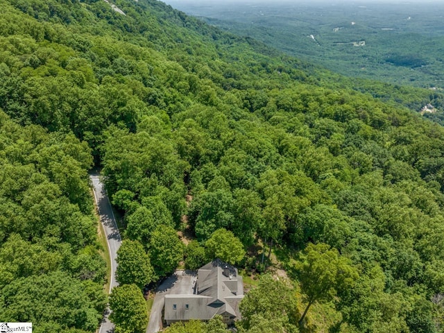 7 Drift Away Ln, Landrum, SC 29356 - bird's eye view with a wooded view