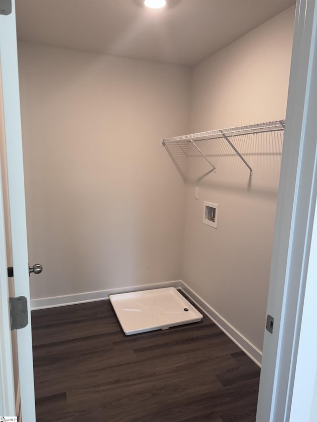 washroom featuring dark hardwood / wood-style flooring and washer hookup