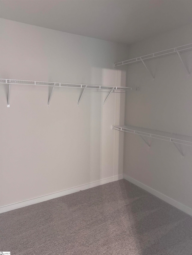 spacious closet with carpet flooring