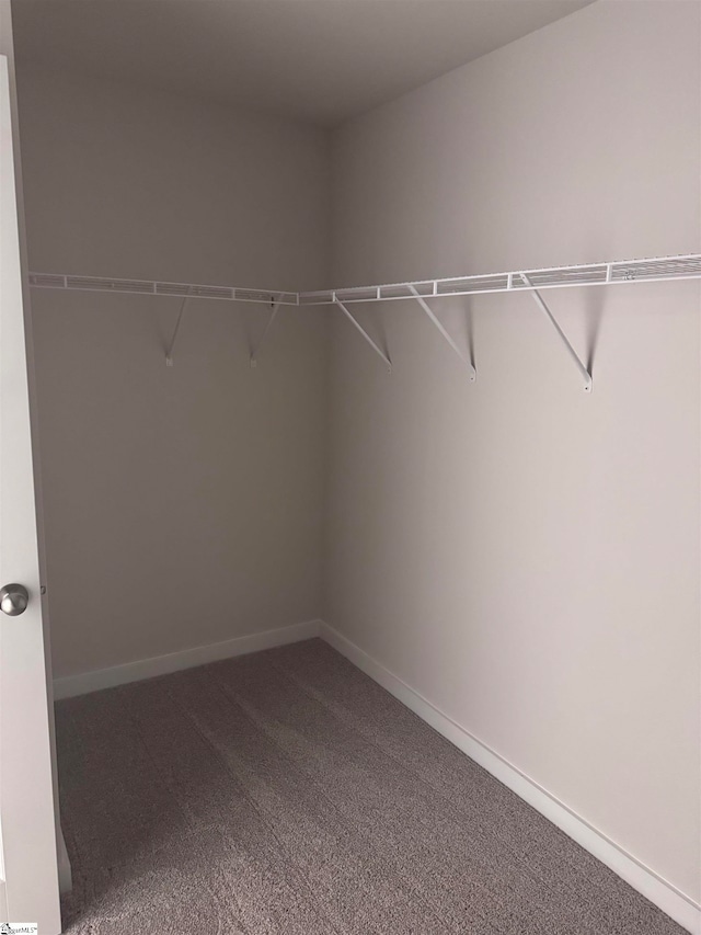 spacious closet with carpet