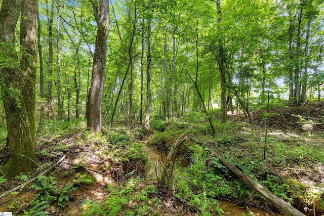 view of local wilderness