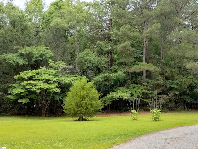 191 Juniper Ln, Pickens SC, 29671 land for sale