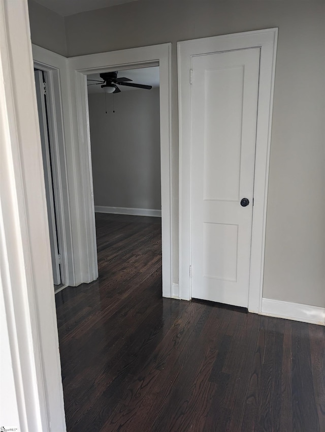 corridor with dark wood-type flooring