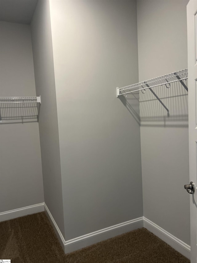 walk in closet with carpet