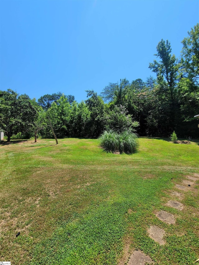 view of yard
