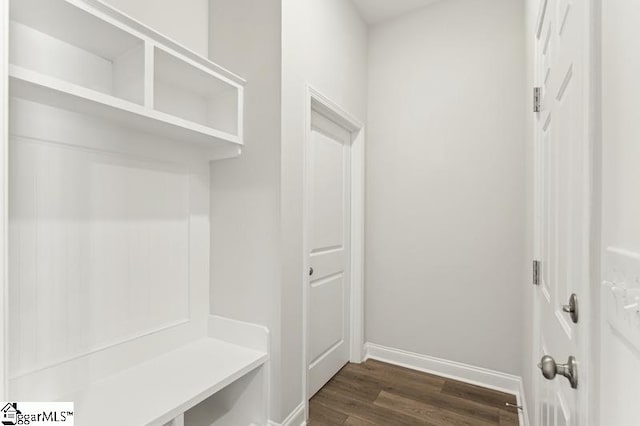 mudroom featuring dark wood-type flooring