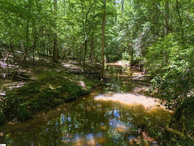 view of local wilderness with a water view