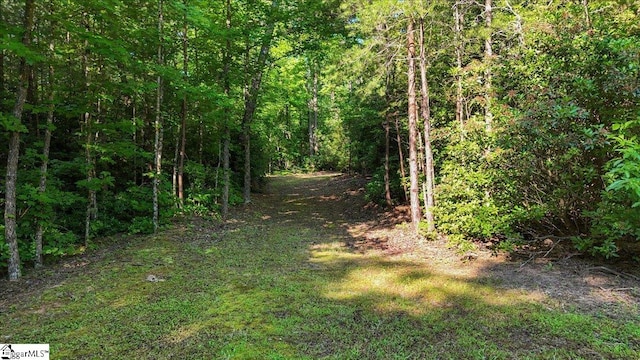 Listing photo 3 for 104 Valley Lake Trl, Travelers Rest SC 29690