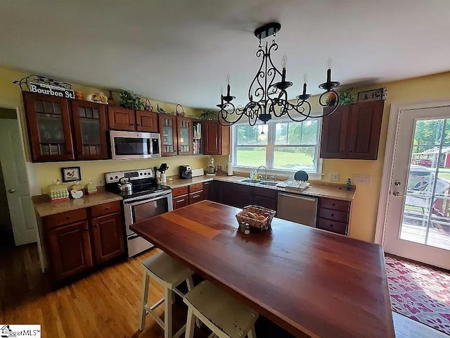 kitchen with pendant lighting, stainless steel appliances, light hardwood / wood-style flooring, and a wealth of natural light