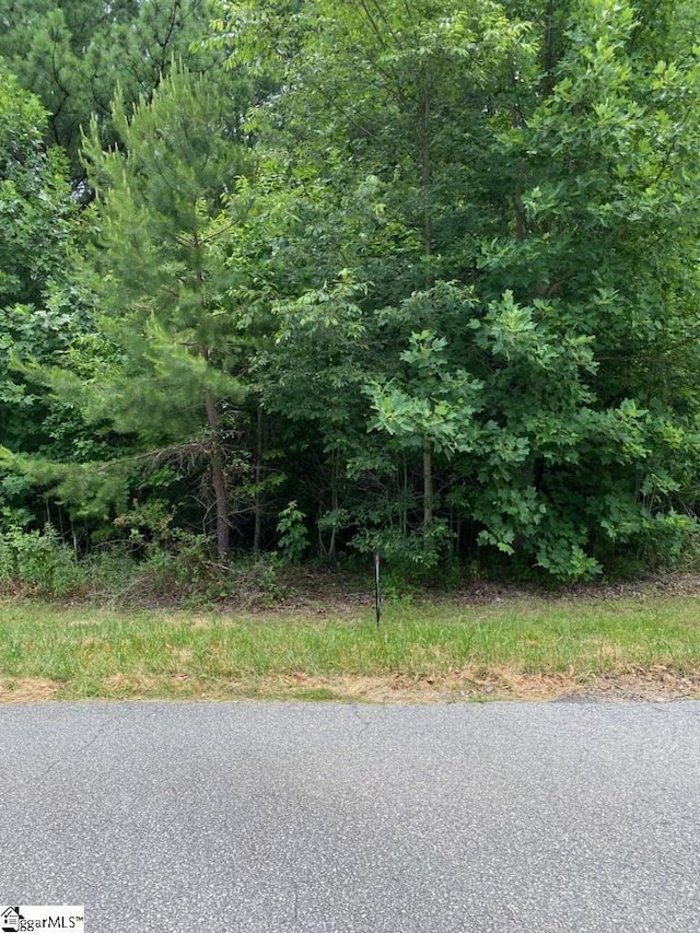 485 Packs Mountain Ridge Rd, Taylors, SC 29687