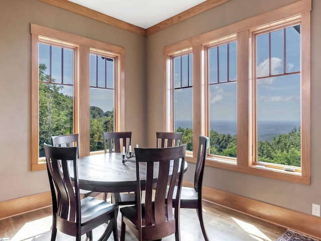 dining room featuring light hardwood / wood-style floors, crown molding, and a healthy amount of sunlight