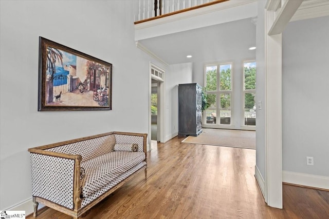 entryway featuring wood-type flooring