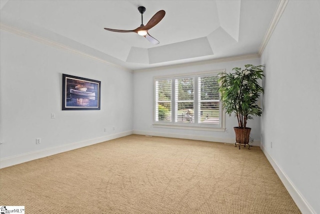 carpeted empty room with ceiling fan, a raised ceiling, and crown molding