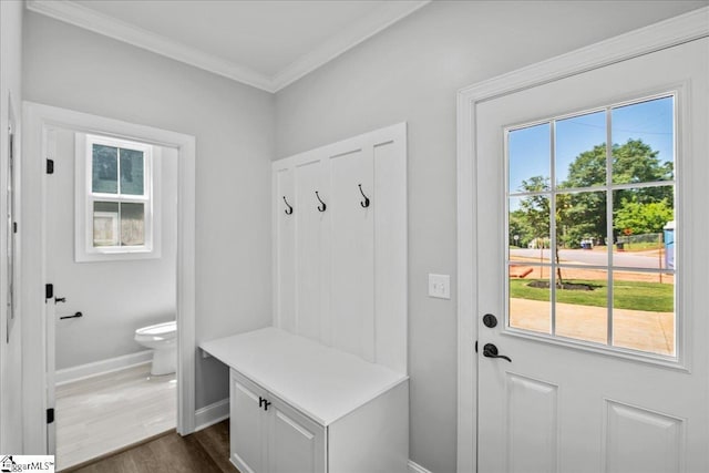 mudroom featuring crown molding and dark wood-type flooring