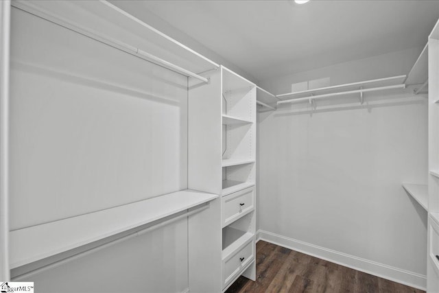 spacious closet featuring dark wood-type flooring