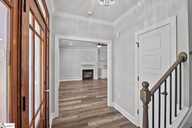 foyer with crown molding, dark wood-type flooring, a large fireplace, and ceiling fan