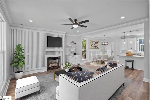 living room with ceiling fan with notable chandelier, dark wood-type flooring, ornamental molding, and a large fireplace