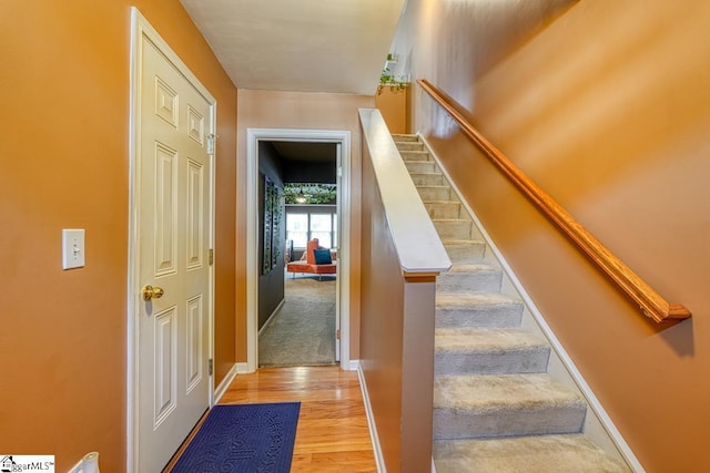 stairs with hardwood / wood-style flooring