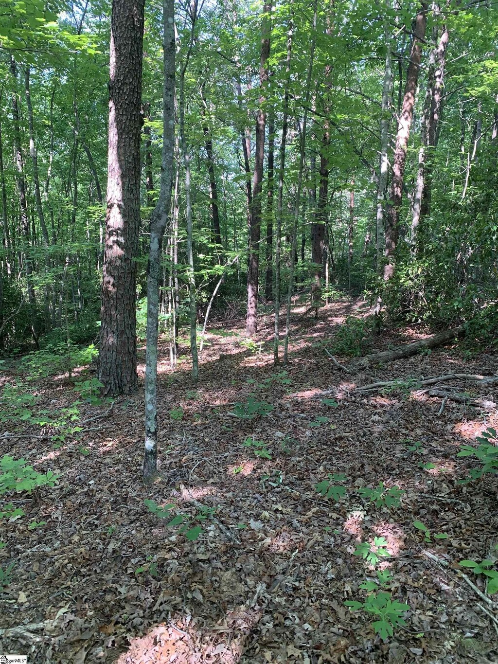 779 Trammell Rd Lot 2, Travelers Rest, SC 29690