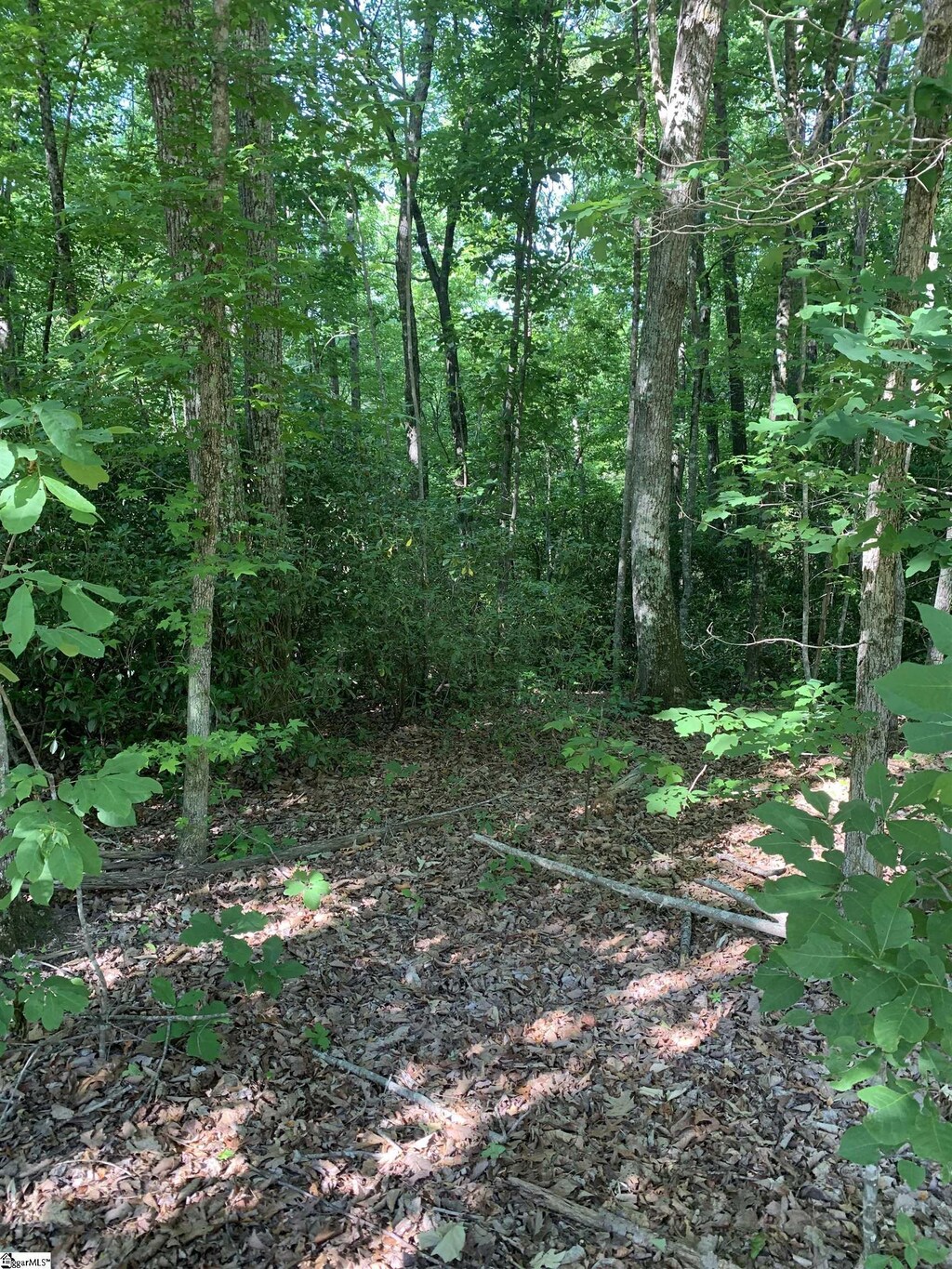 779 Trammell Rd Lot 2, Travelers Rest, SC 29690