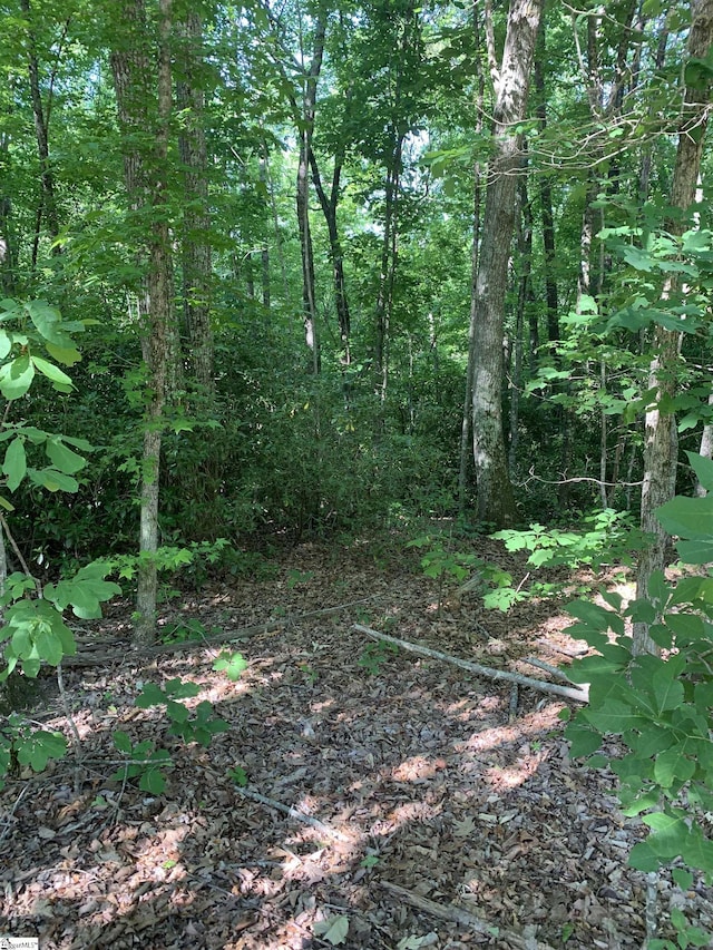 Listing photo 2 for 779 Trammell Rd Lot 2, Travelers Rest SC 29690