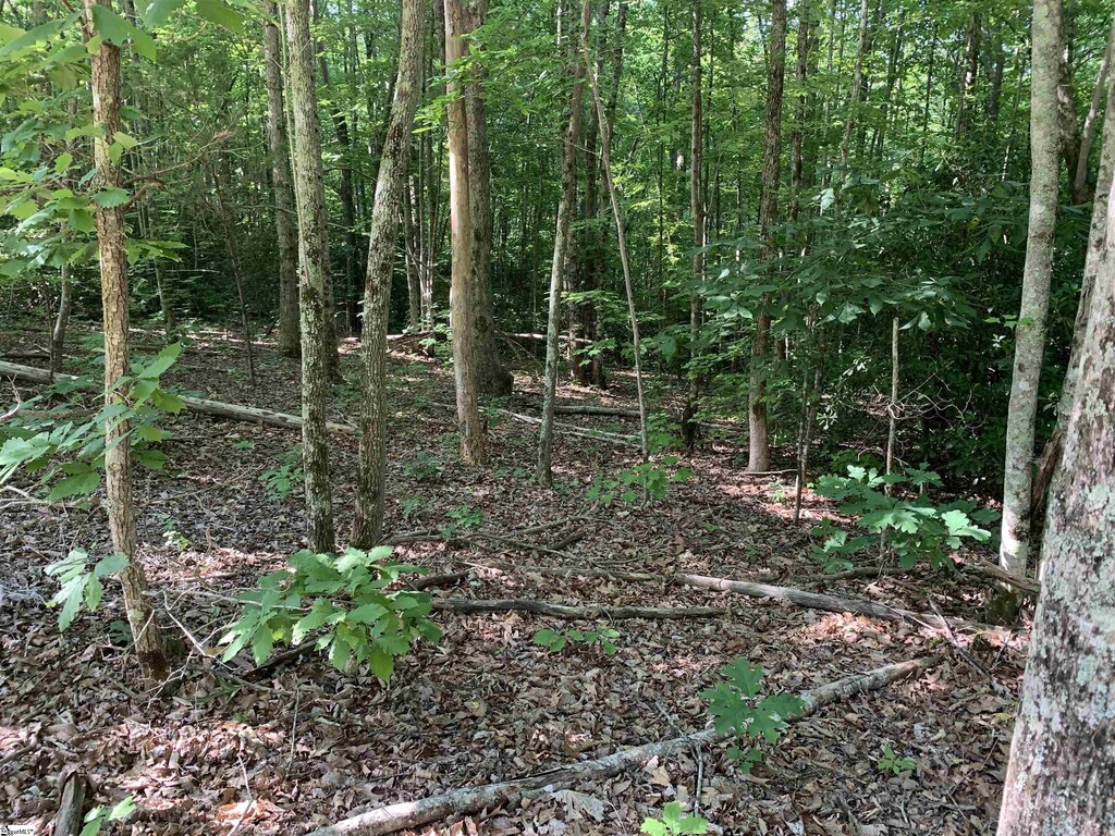 779 Trammell Rd Lot 2, Travelers Rest, SC 29690