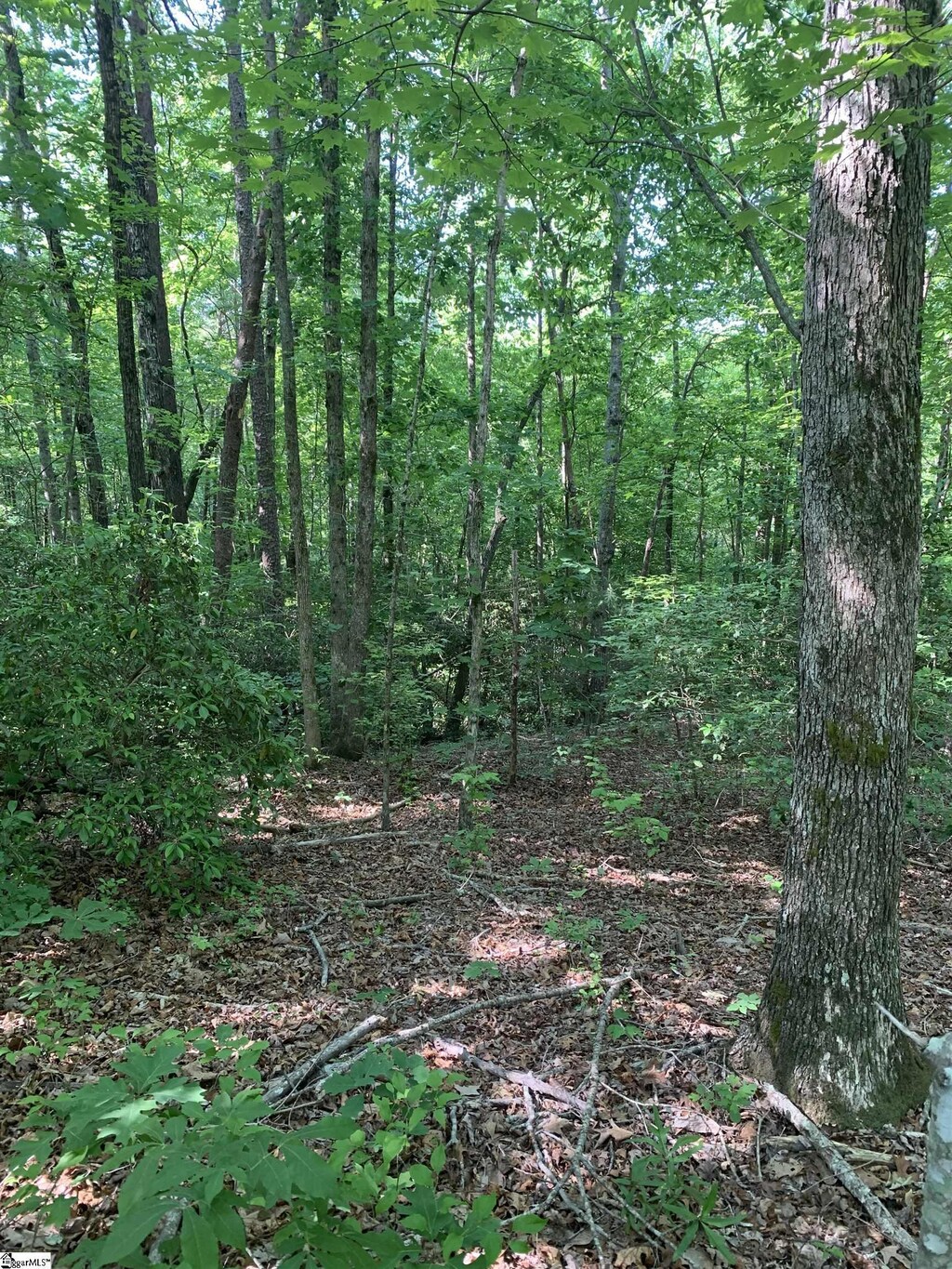 779 Trammell Rd Lot 2, Travelers Rest, SC 29690