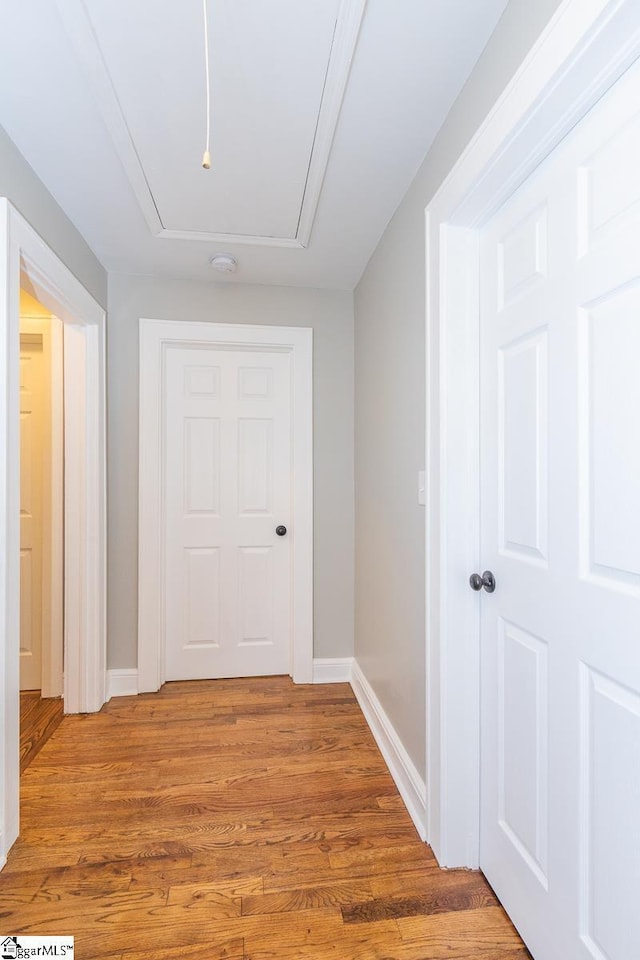 hall with hardwood / wood-style flooring