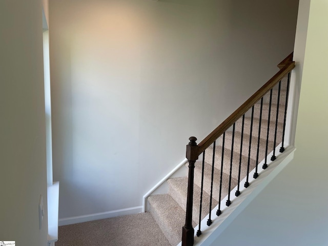 stairs with carpet floors