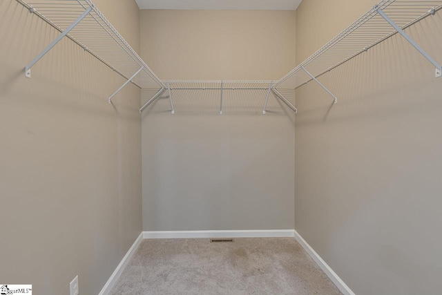 walk in closet featuring carpet floors