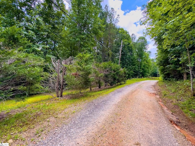 0 Bowater Pass, Fountain Inn SC, 29644 land for sale