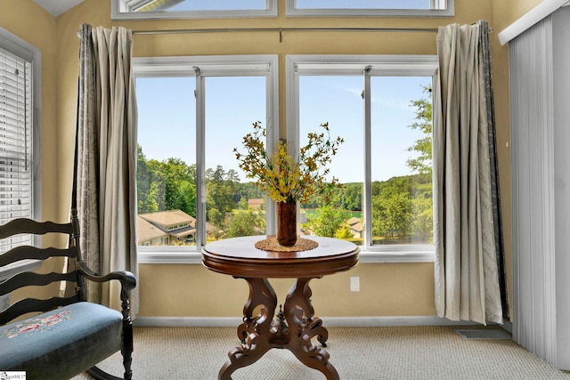 sitting room with carpet flooring